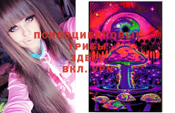 гашик Балахна