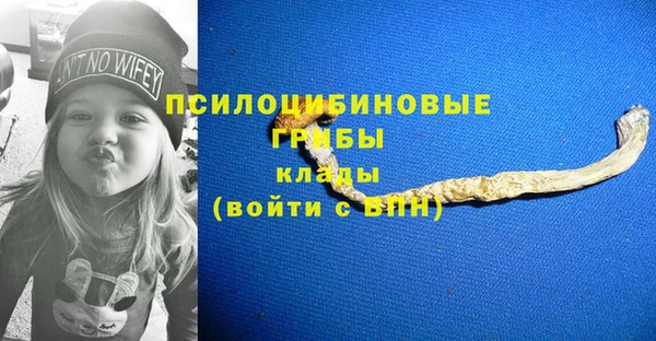 гашик Балахна