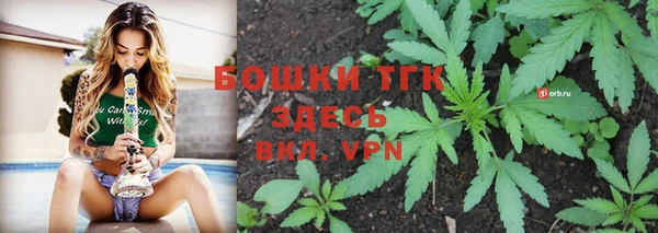гашик Балахна