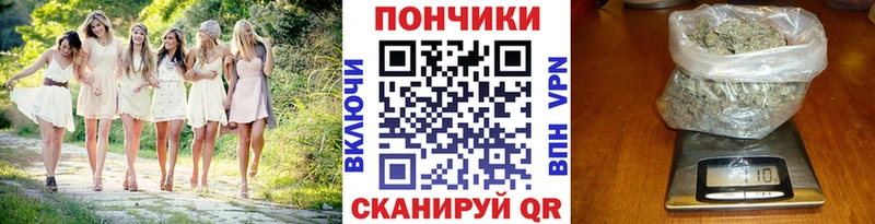 Бошки Шишки конопля  Новодвинск 